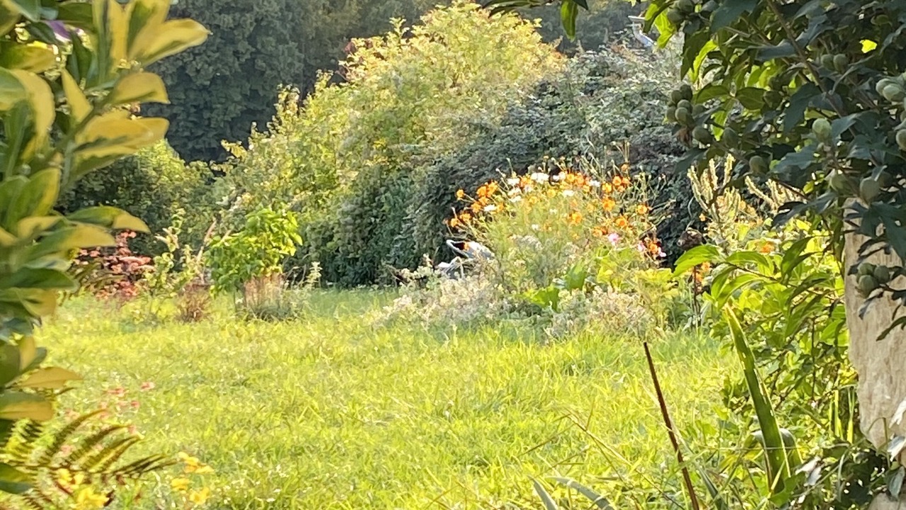 Photo of Outdoor in Tronchoy