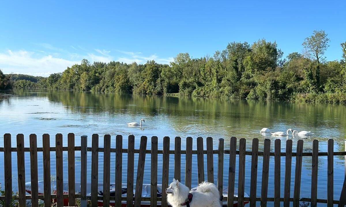 Photo of Outdoor in Saint-Sauveur-les-Bray