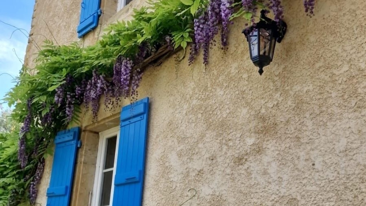 Photo of Outdoor in Aignan