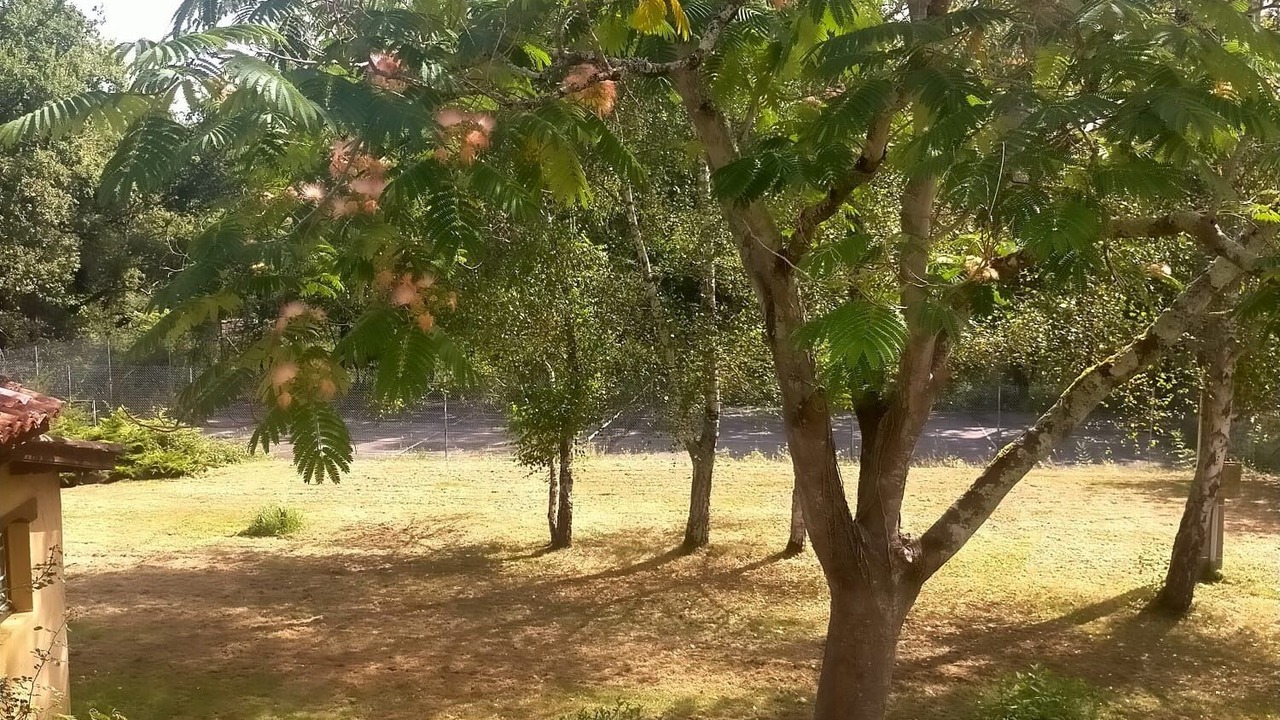 Photo of Outdoor in Aignan