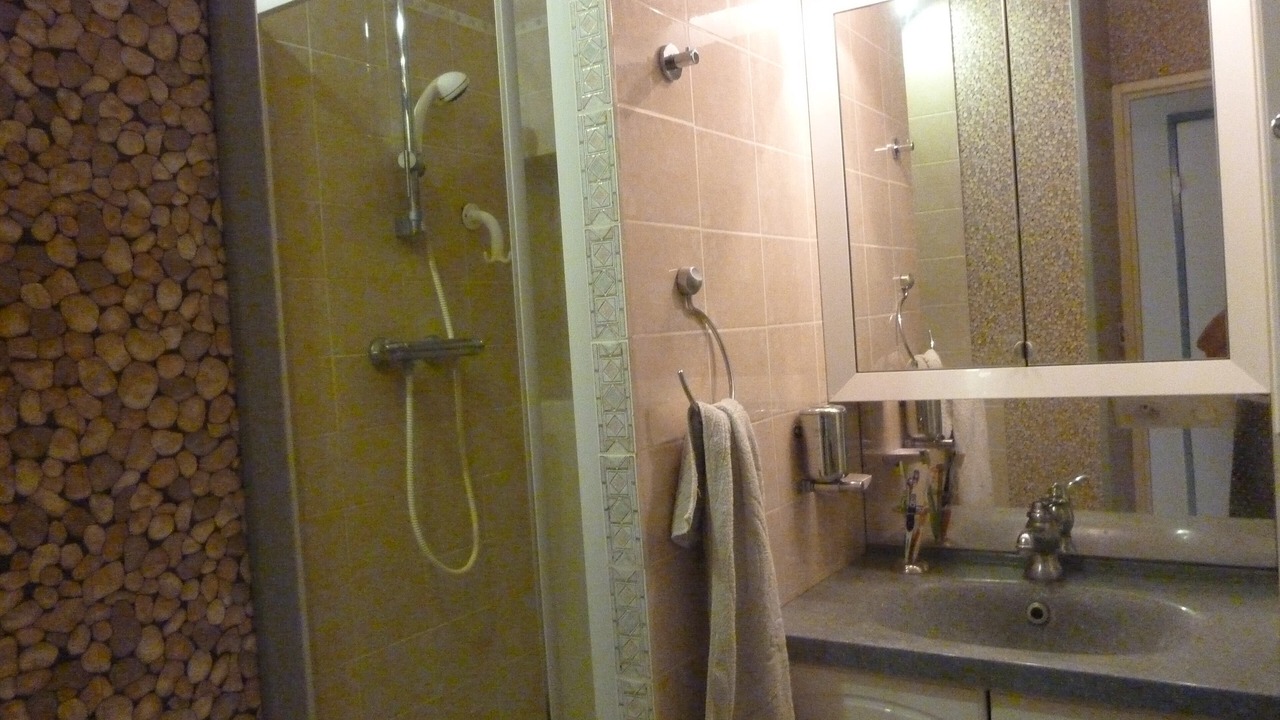 Photo of Bathroom in Cusset