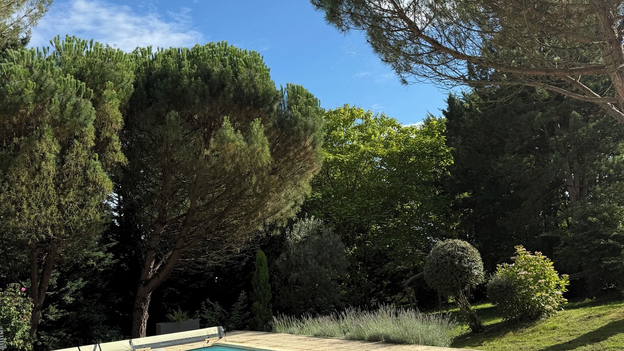 Photo of Outdoor in Saint-Martin-du-Boschet