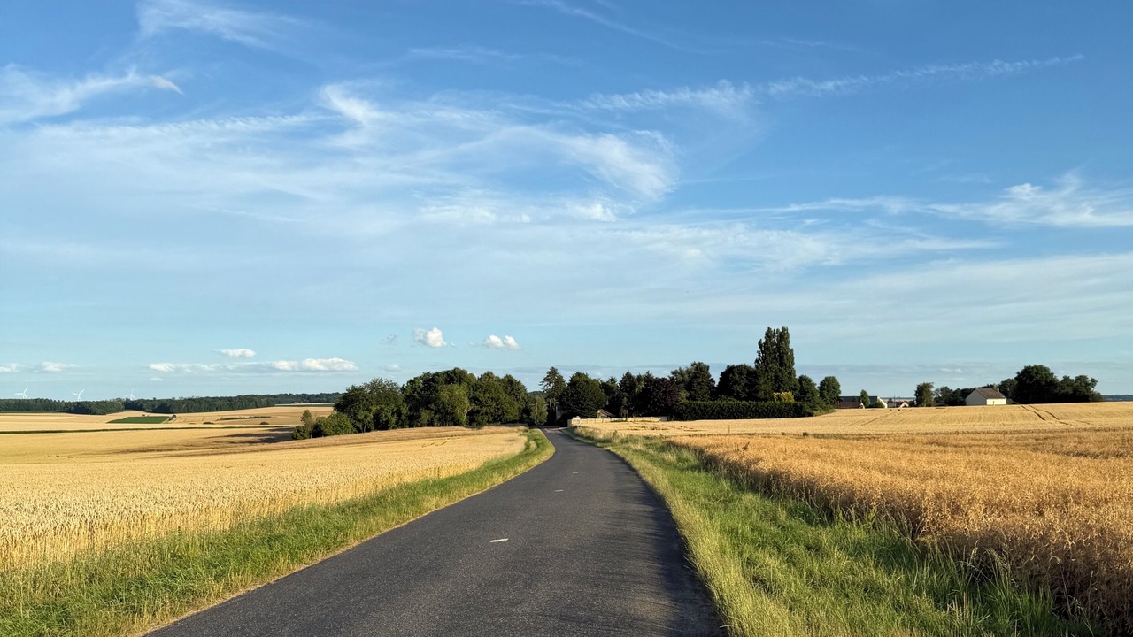 Photo of Others in Saint-Martin-du-Boschet