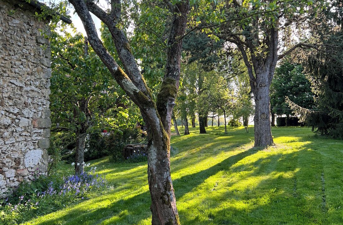 Photo of Outdoor in Saint-Martin-du-Boschet