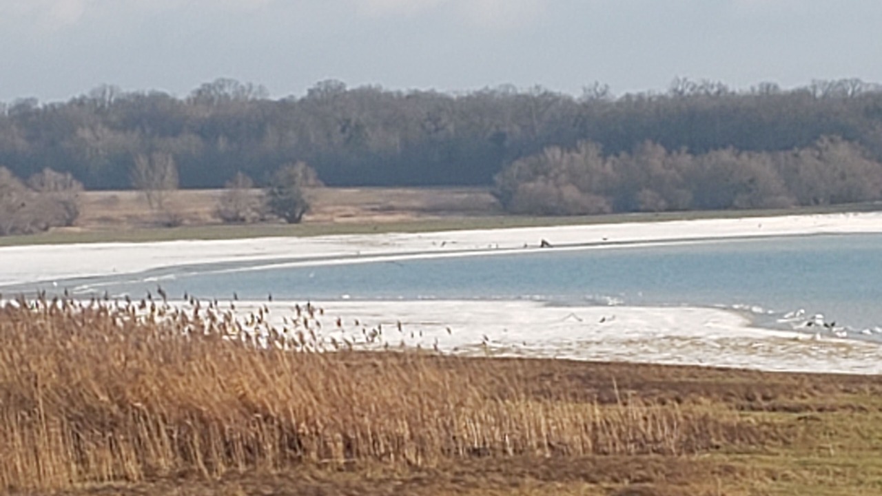 Photo of Others in Sainte-Marie-du-Lac-Nuisement