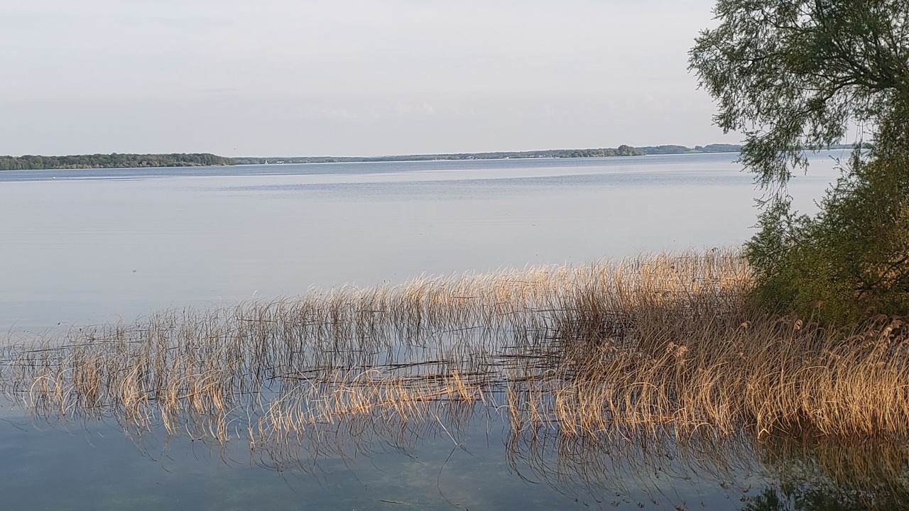 Photo of Others in Sainte-Marie-du-Lac-Nuisement