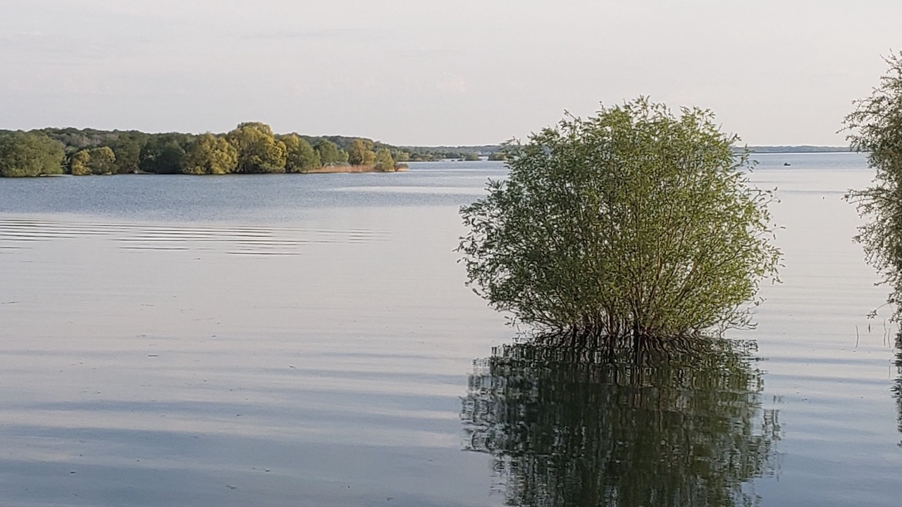 Photo of Others in Sainte-Marie-du-Lac-Nuisement