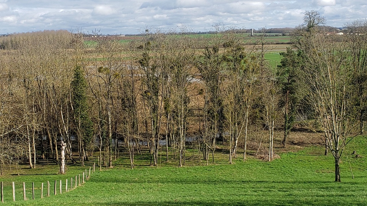 Photo of Outdoor in Sainte-Marie-du-Lac-Nuisement