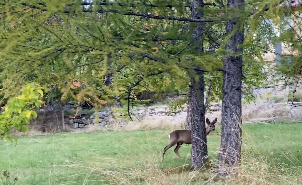 Photo of Others in Colmars