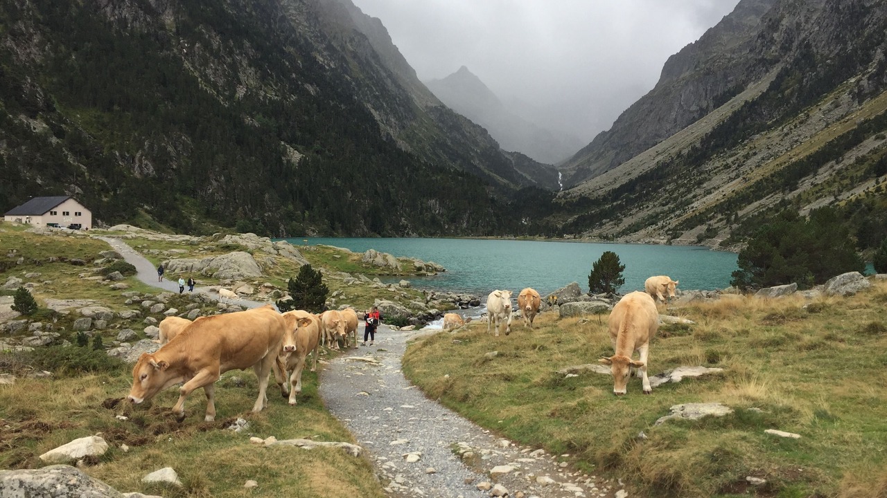 Photo of Others in Luz-Saint-Sauveur