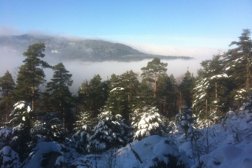 Photo of Outdoor in Boersch