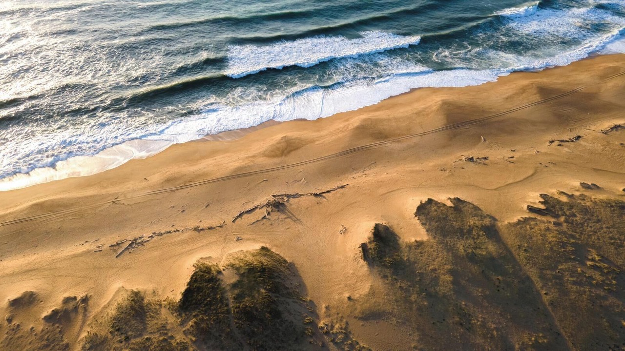 Photo of Others in Labenne-Ocean