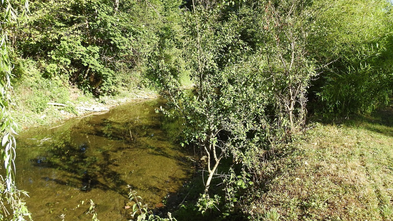 Photo of Others in Roches-Bettaincourt