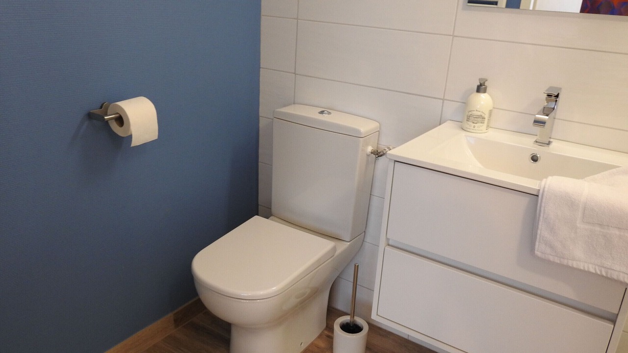 Photo of Bathroom in Roches-Bettaincourt