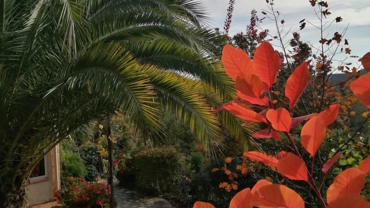 Photo of Outdoor in Meounes-les-Montrieux
