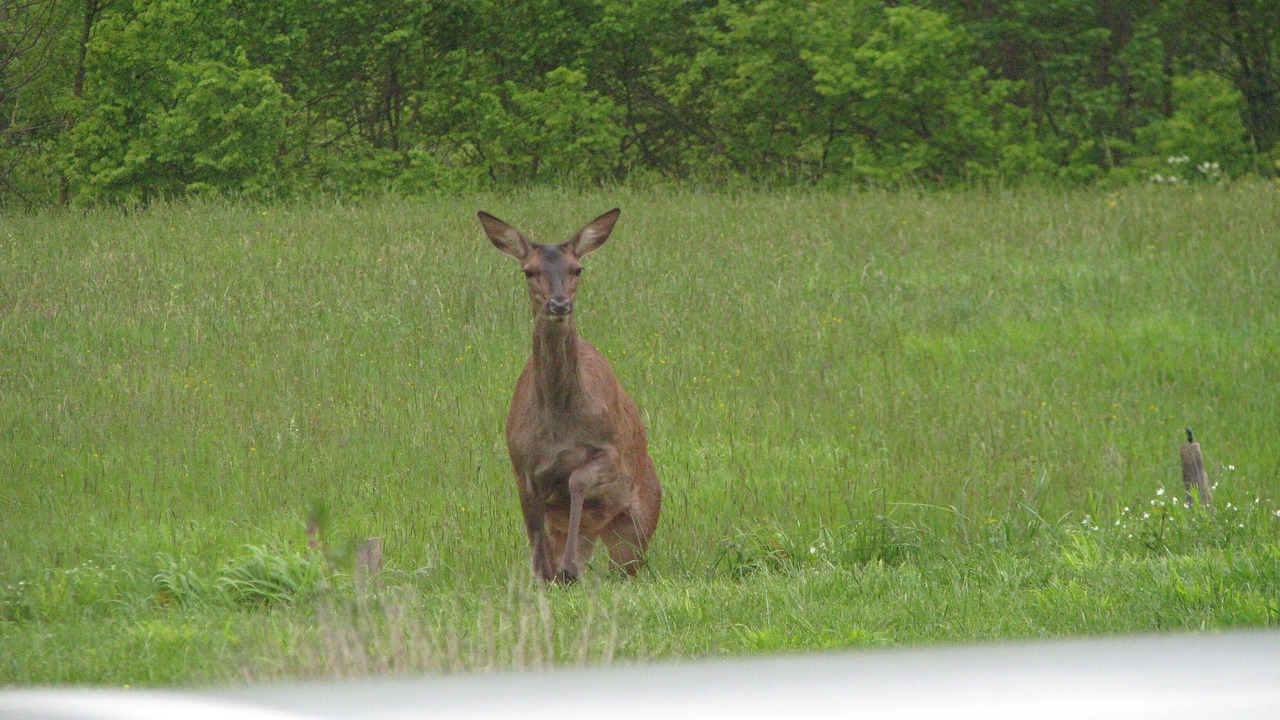 Photo of Outdoor in Ore