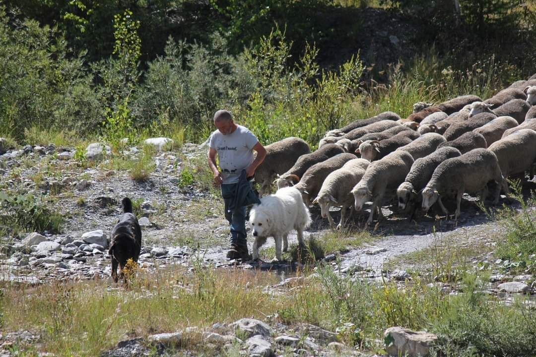 Photo of Others in Saint-Paul-sur-Ubaye
