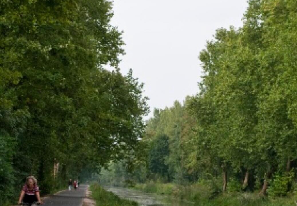 Photo of Outdoor in Savieres