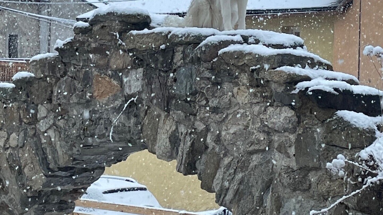 Photo of Outdoor in Puyvalador