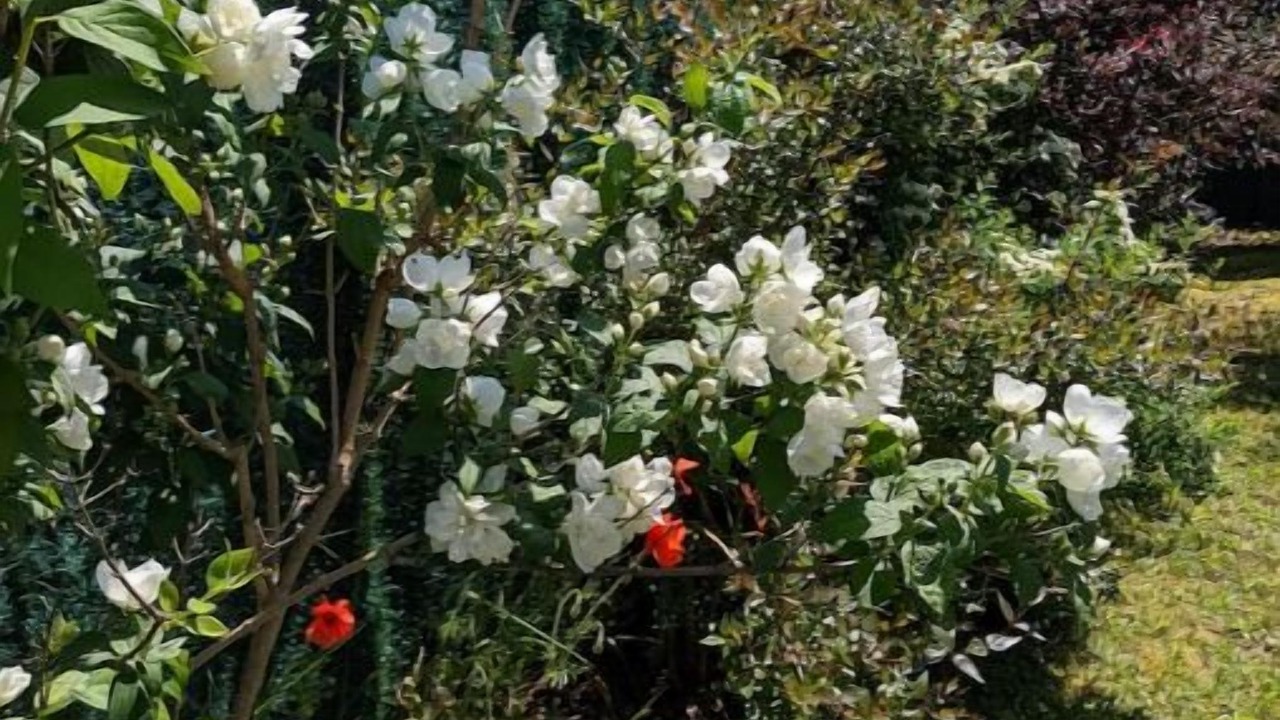 Photo of Outdoor in Marange-Silvange
