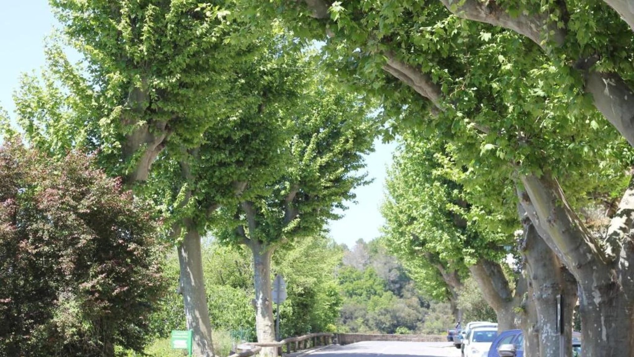 Photo of Others in Bagnols-en-Foret