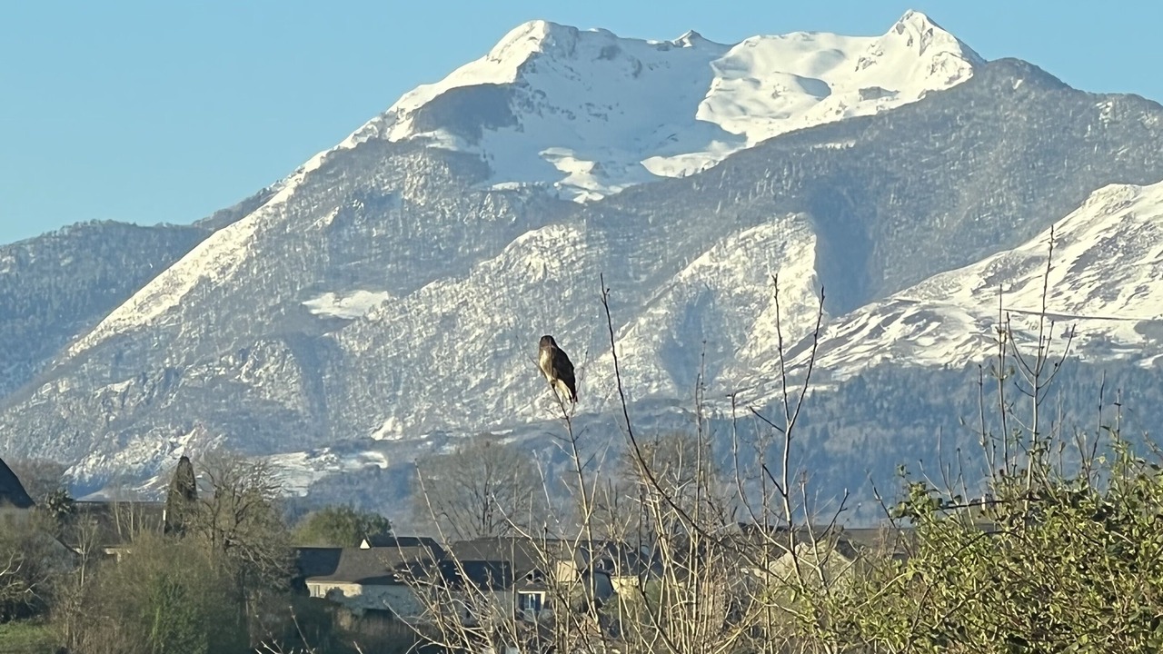 Photo of Others in Sainte-Colome