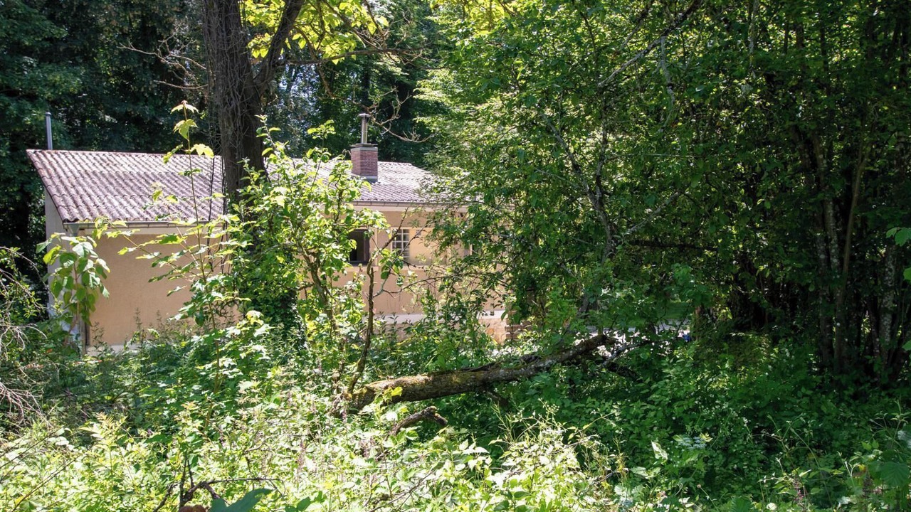 Photo of Outdoor in Avenay-Val-d'Or