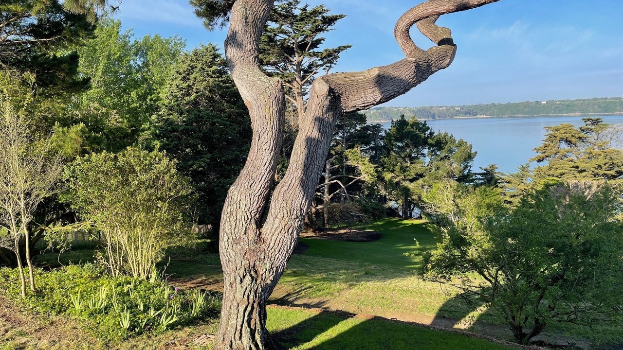 Photo of Others in Saint-Jacut-de-la-Mer