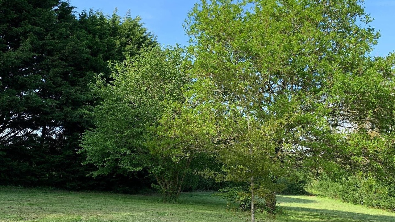 Photo of Outdoor in Plounerin