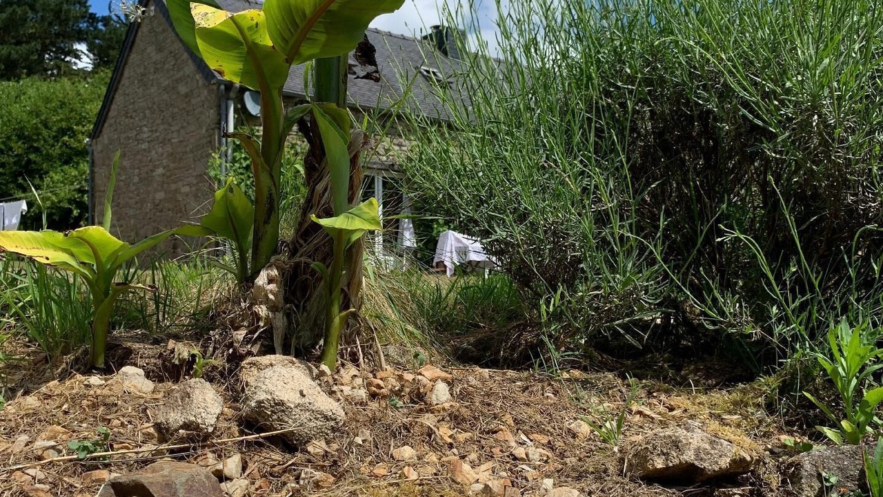 Photo of Outdoor in Plounerin