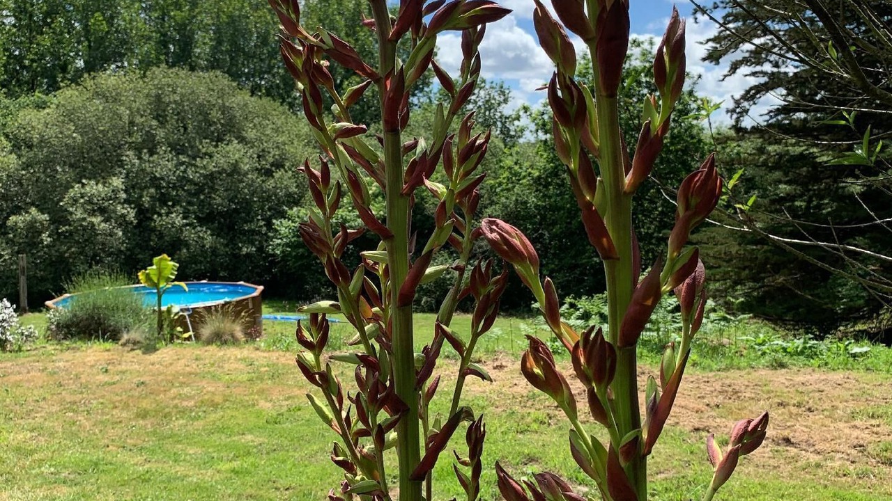 Photo of Outdoor in Plounerin