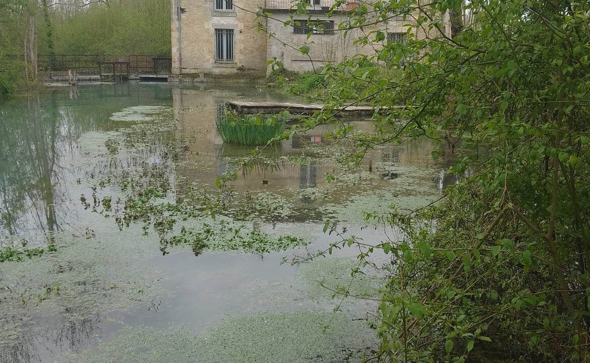 Photo of Outdoor in Vanault-les-Dames