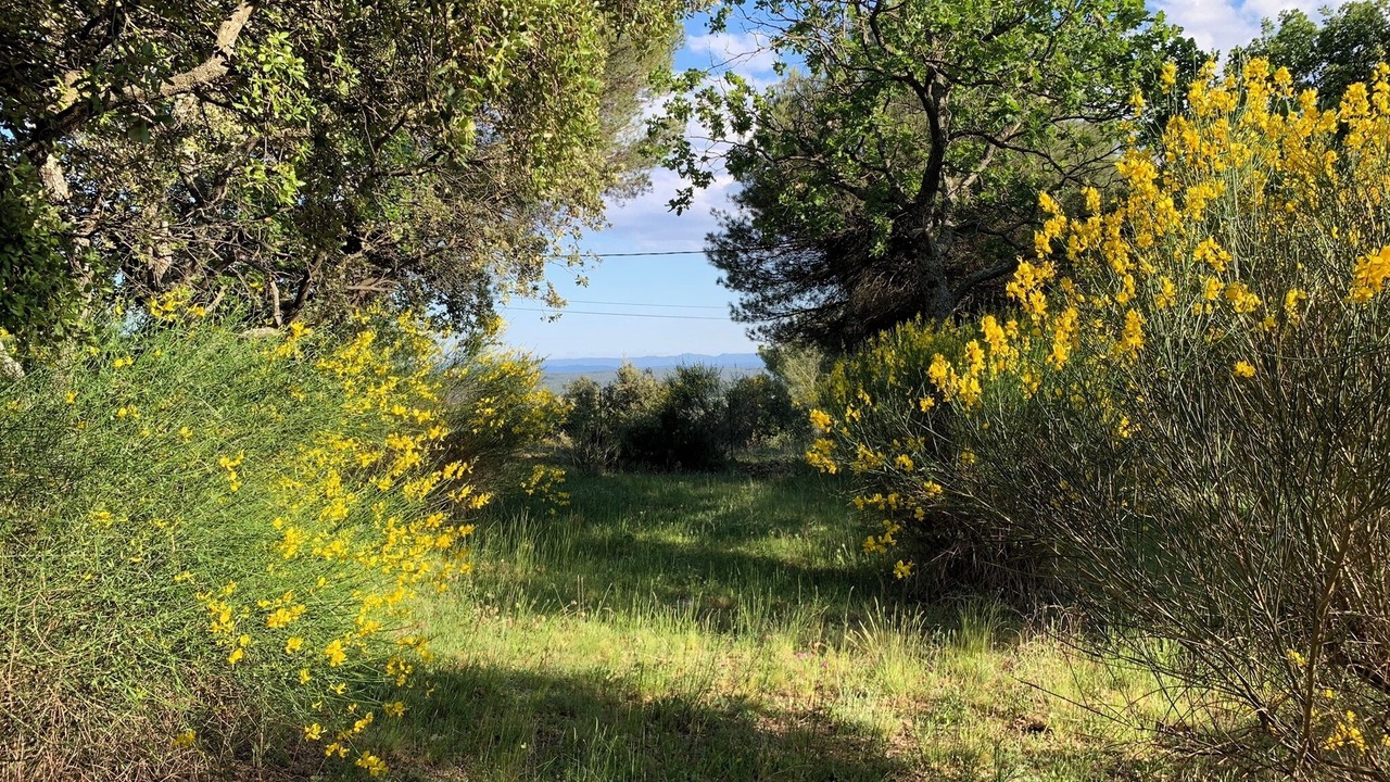 Photo of Outdoor in Moissac-Bellevue