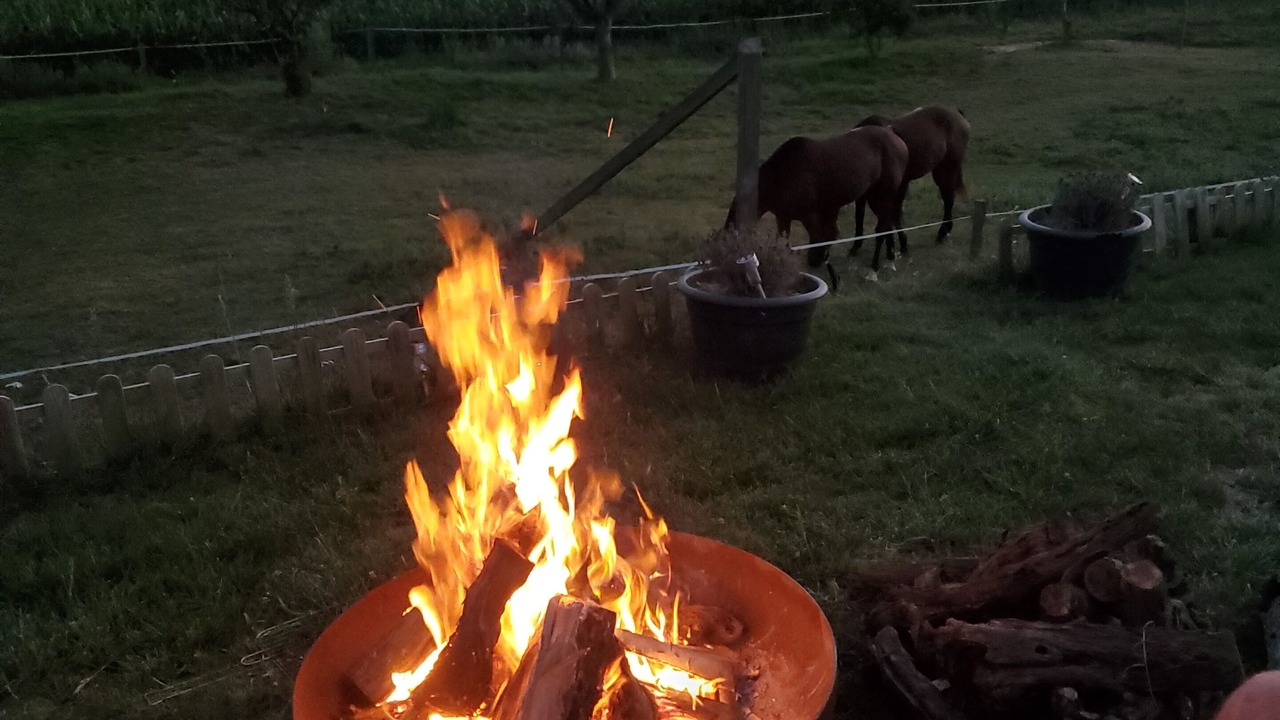 Photo of Outdoor in Plaisance