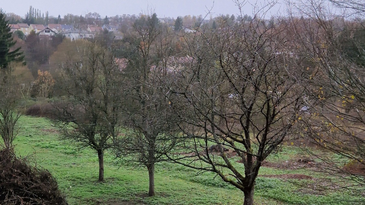 Photo of Outdoor in Hombourg-Haut