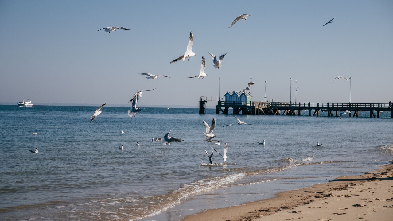 Photo of Others in Arcachon