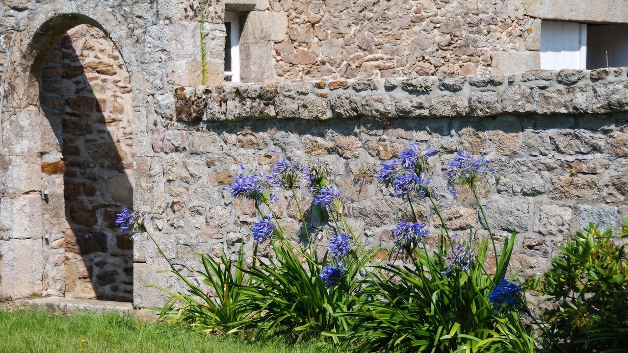 Photo of Outdoor in Saint-Igneuc