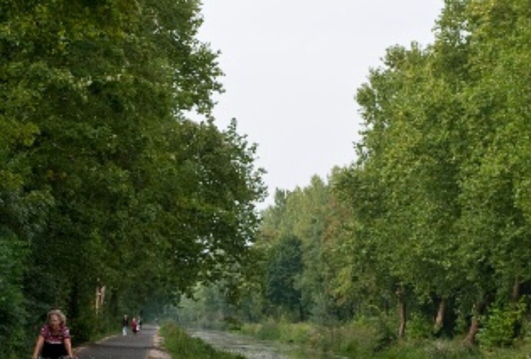 Photo of Others in Savieres