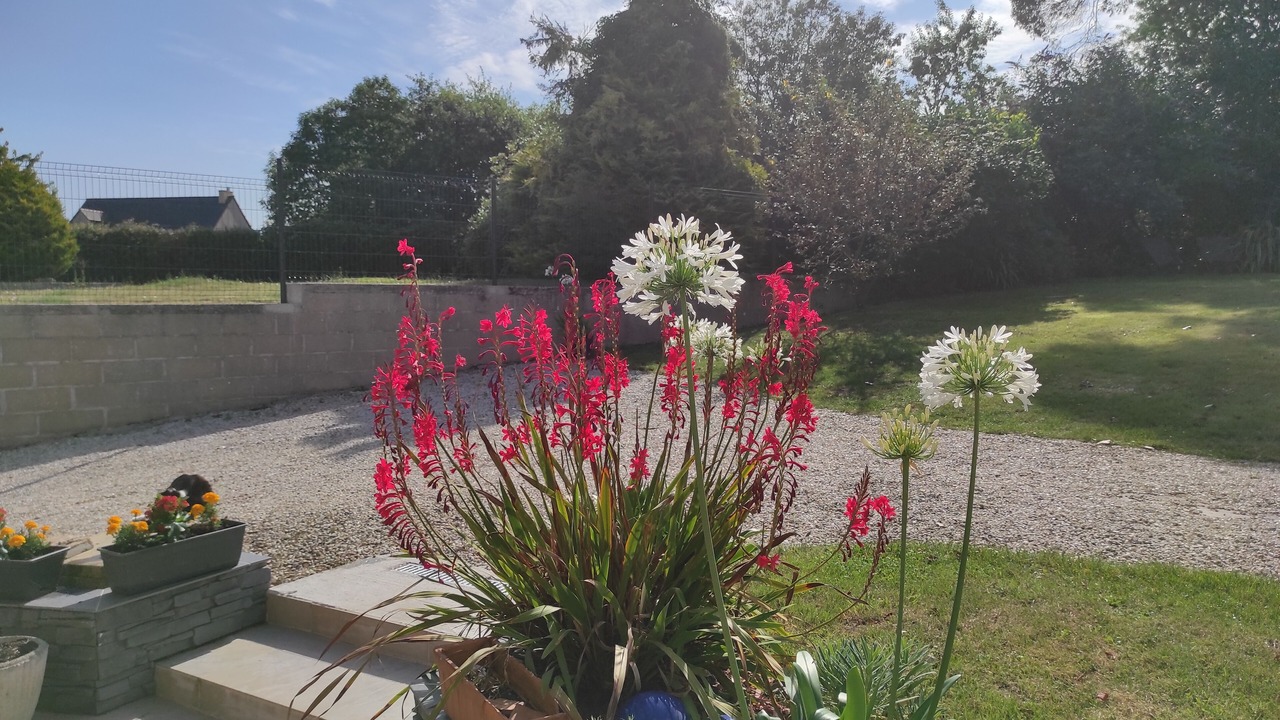 Photo of Outdoor in Pluduno
