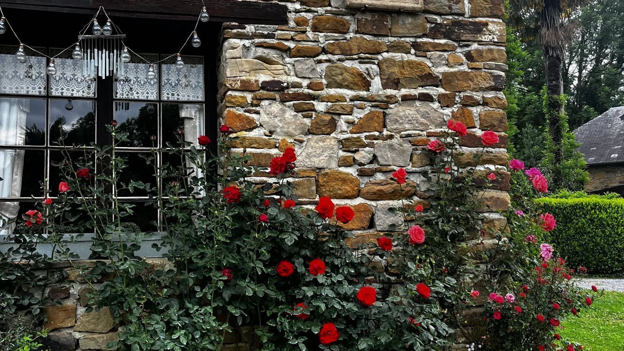 Photo of Others in Haut-de-Bosdarros