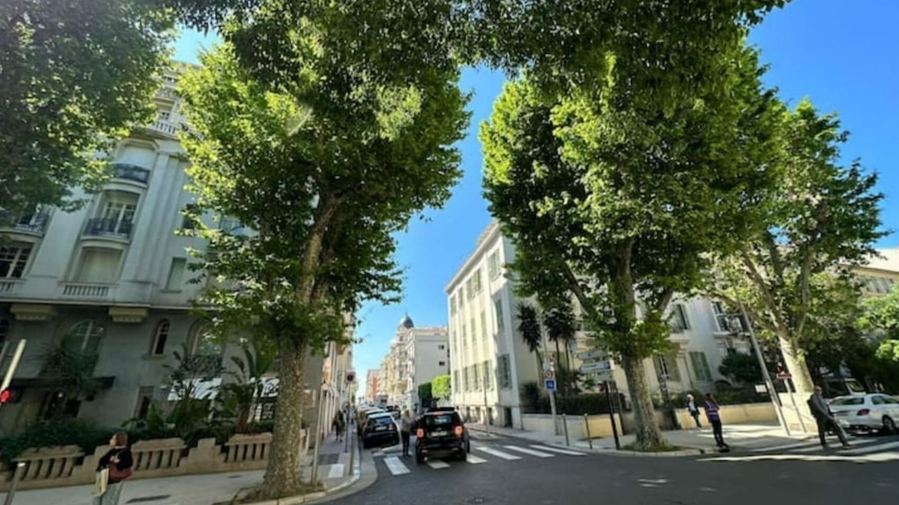 Photo of Others in Musicians Quarter