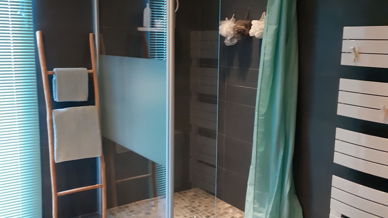 Photo of Bathroom in Saint Laurent de la Pree