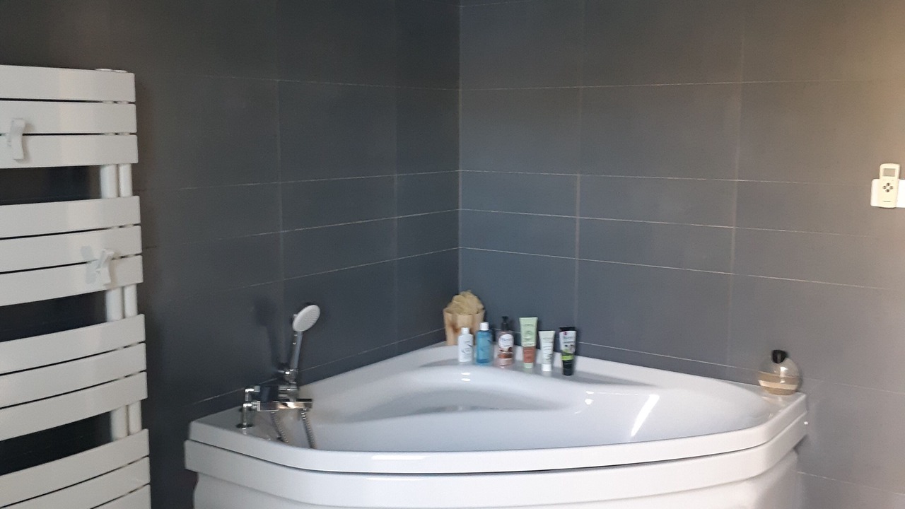 Photo of Bathroom in Saint Laurent de la Pree