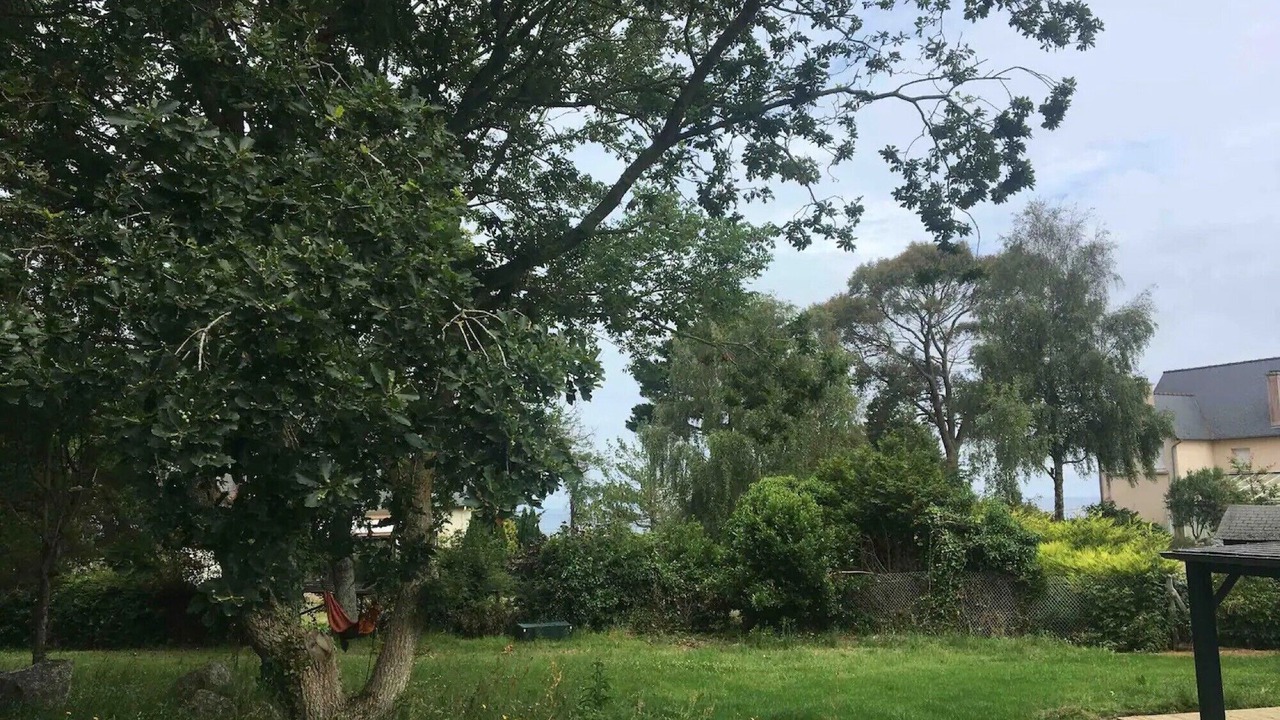 Photo of Outdoor in Sables-d'Or-les-Pins