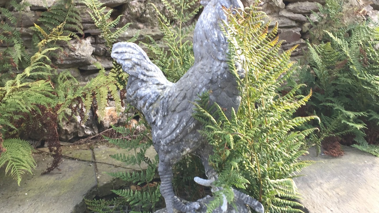 Photo of Outdoor in Saint-Igeaux