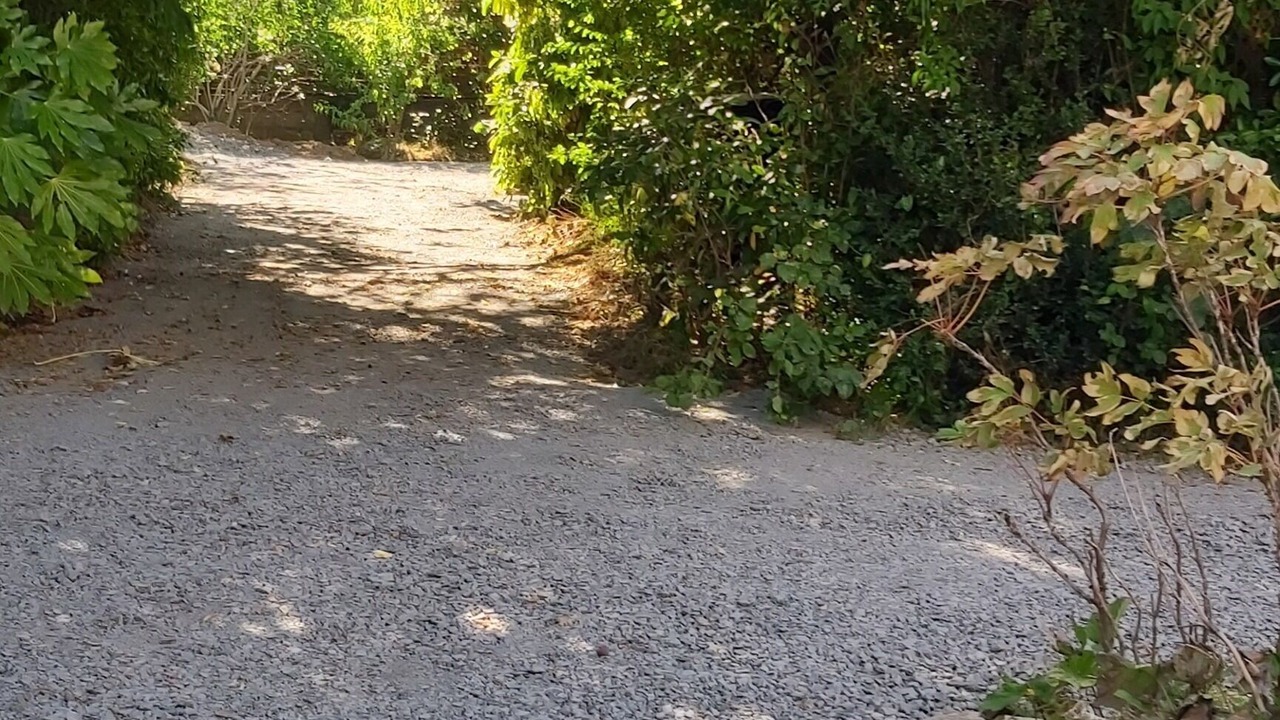 Photo of Outdoor in Ruca