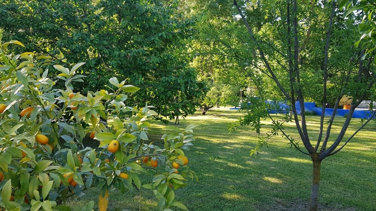 Photo of Outdoor in Villeneuve-les-Avignon