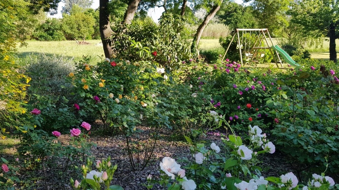 Photo of Outdoor in Villeneuve-les-Avignon