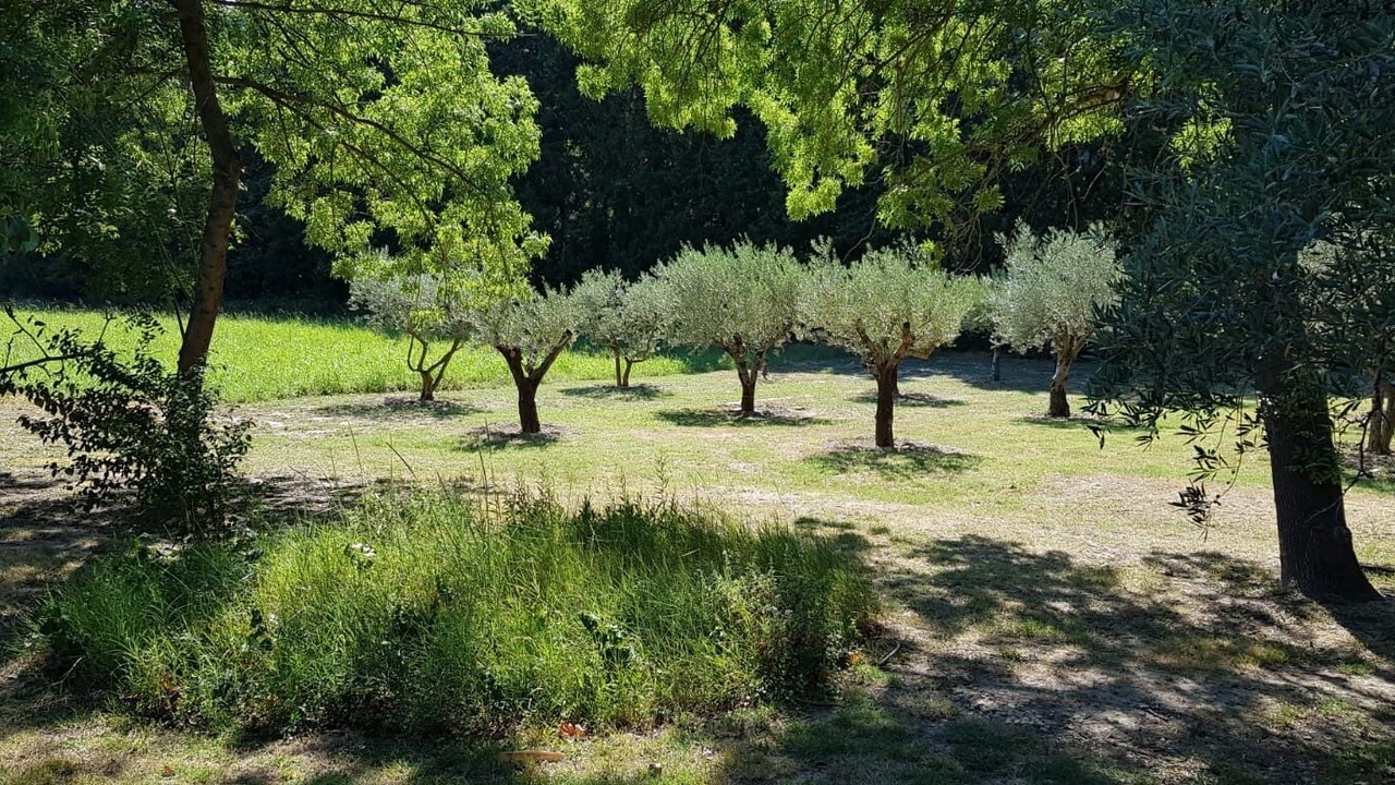 Photo of Outdoor in Villeneuve-les-Avignon