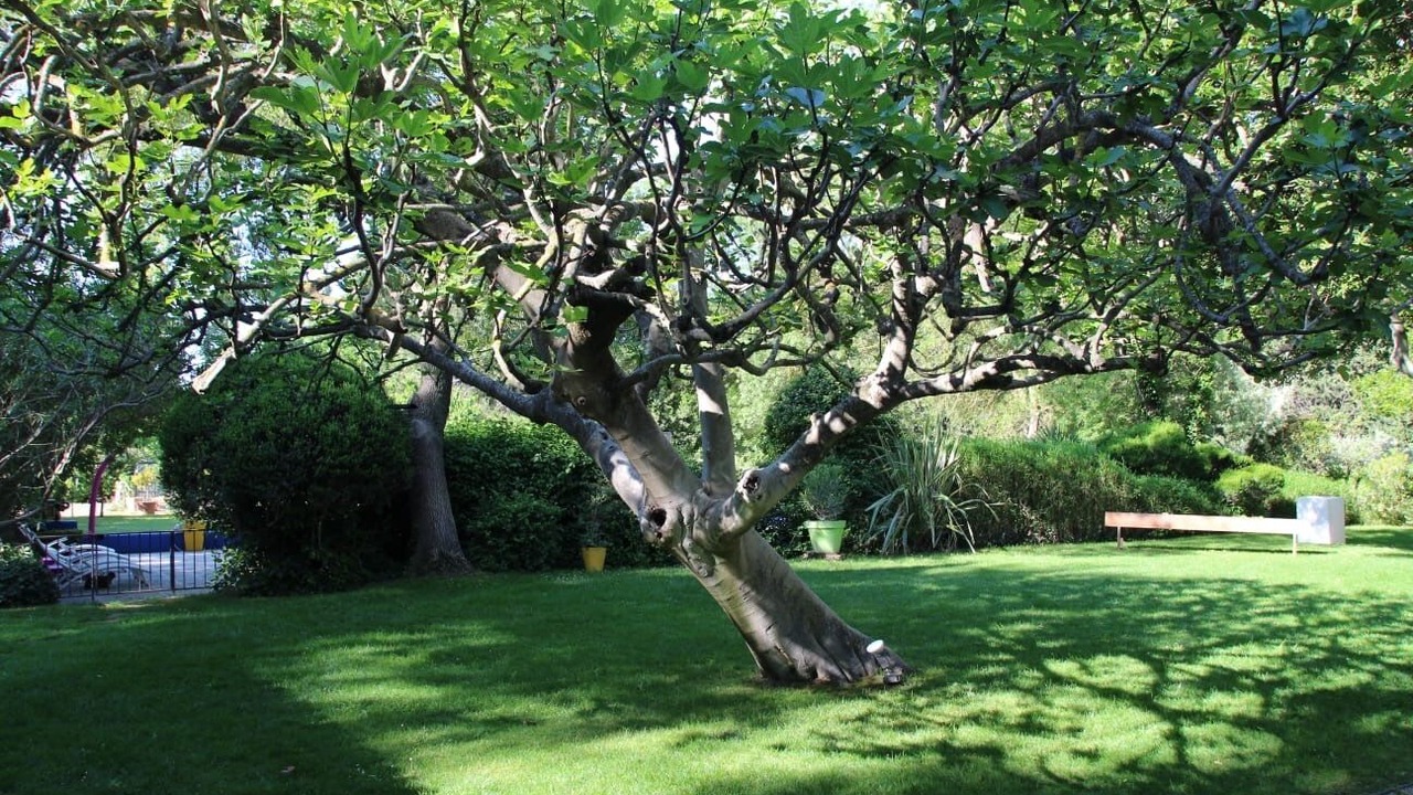 Photo of Outdoor in Villeneuve-les-Avignon
